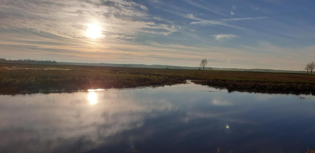 Guesthouse Het Gouden Eiland Veendam Dış mekan fotoğraf