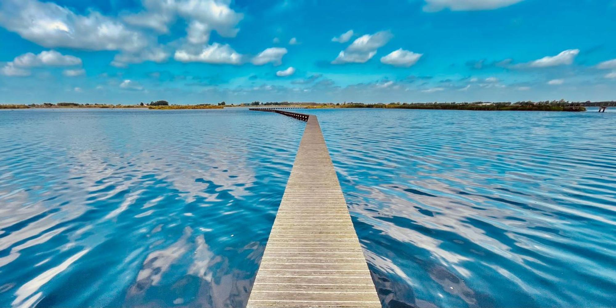 Guesthouse Het Gouden Eiland Veendam Dış mekan fotoğraf